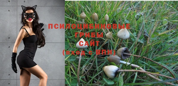 экстази Белокуриха