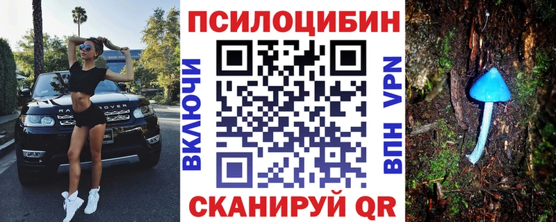 что такое   Каменск-Уральский  Псилоцибиновые грибы прущие грибы 